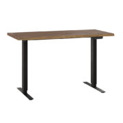Adona Adjustable Standing Desk